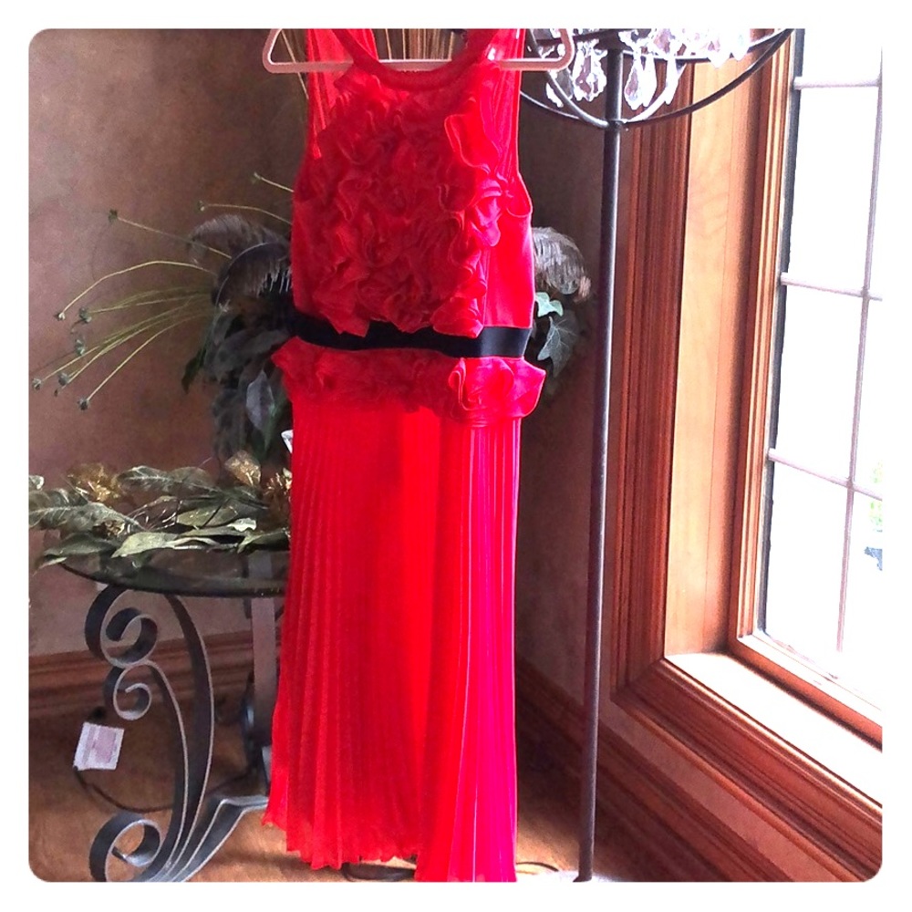 Gorgeous salmon pleated dress BCBGMax Azria
